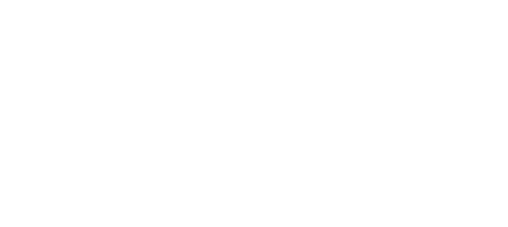 logo pean consulting