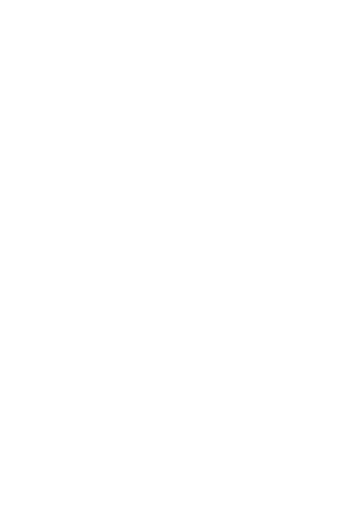 icon pean consulting